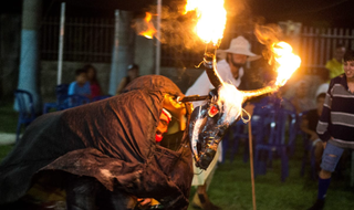 Bois flamejantes duelam pelas ruas de Porto Murtinho. (Foto: Arquivo/Leandro Benites)