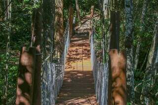 Ponte sobre córrego na trilha do Parque Estadual Matas do Segredo (Foto: Arquivo/Marcos Maluf)