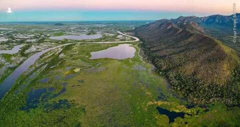 ONGs pedem a Unesco que insira Pantanal na lista de biomas em perigo