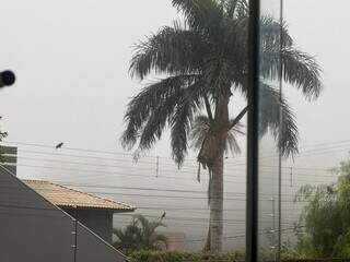 Nevoeiro em Maracaju nesta manhã (Foto: Hosana de Lourdes)