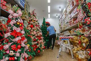 Funcionária da loja Casa das Flores decora árvores expostas para venda (Foto: Paulo Francis).