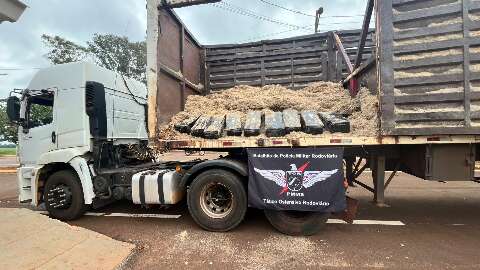 Motorista é preso com 2 toneladas de maconha em carga de bagaço de cana