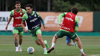 Elenco do Palmeiras durante treinamento para a rodada de sábado (Foto: Cesar Greco/Palmeiras)