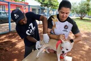 Castram&oacute;vel atende no Aero Rancho e Parque dos Novos Estados neste s&aacute;bado