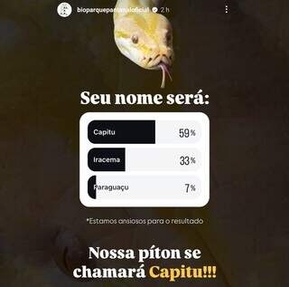 Resultado da enquente é comemorado no Instagram do Bioparque (Foto/Reprodução)