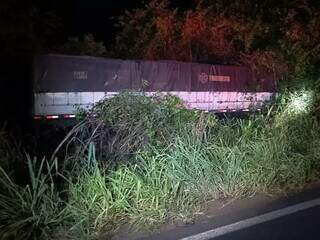 Carreta foi parar na vegetação às margens da rodovia (Foto: Nova Notícias)