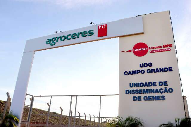 Multinacional inaugura hoje na Capital unidade de distribuição de sêmen suíno