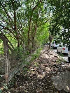 Calçada está quebrada e coberta por mato em alguns trechos. (Foto: Direto das Ruas)