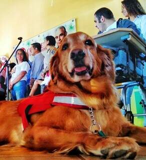 Cãoterapeuta durante missão no Cotolengo, entidade que atender a crianças com paralisia cerebral (Foto: Reprodução das redes sociais)