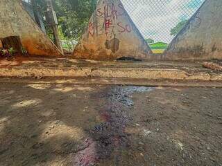 Marca de sangue da vítima ficou no asfalto da rua onde agressões aconteceram (Foto: Marcos Maluf)