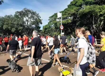 Cãominhada quer levar conscientização sobre abandono animal para Parque