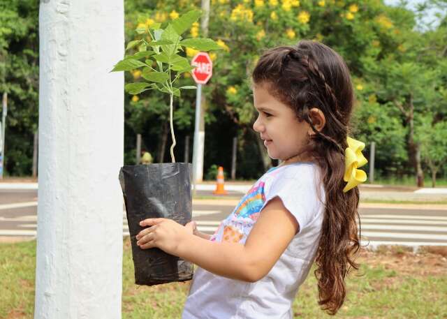 Crian&ccedil;as participam de plantio que forma &quot;Arco de Ip&ecirc;s&quot; no Parque dos Poderes 