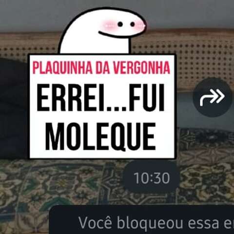 &quot;Errei, fui moleque&quot;, responde golpista a v&iacute;tima ap&oacute;s ser desmascarado