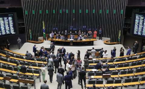 Polêmica do Carrefour: Congresso reage com PL para elevar exigência ambiental