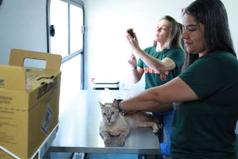 Em dezembro, consultório móvel atenderá pets de três bairros da Capital