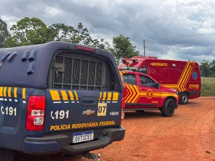 Homem prefere morrer atacado por abelhas a ser preso por tr&aacute;fico