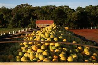 Carregamento de laranja produzida em Mato Grosso do Sul (Foto: Alvaro Rezende/Governo MS)