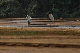 Instituto tem at&eacute; 2026 para executar projeto de preserva&ccedil;&atilde;o do Rio Taquari