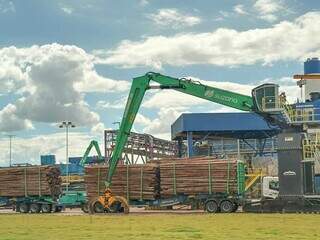 &quot;Monstros&quot; da celulose, hexatrens transportam mais carga sem pegar rodovia