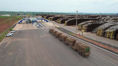 Já tradicionais, hexatrens reduzem custos aliados a maior capacidade de carga