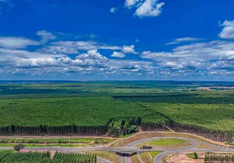 Com futuro otimista e maior fábrica do mundo, MS se firma como Vale da Celulose