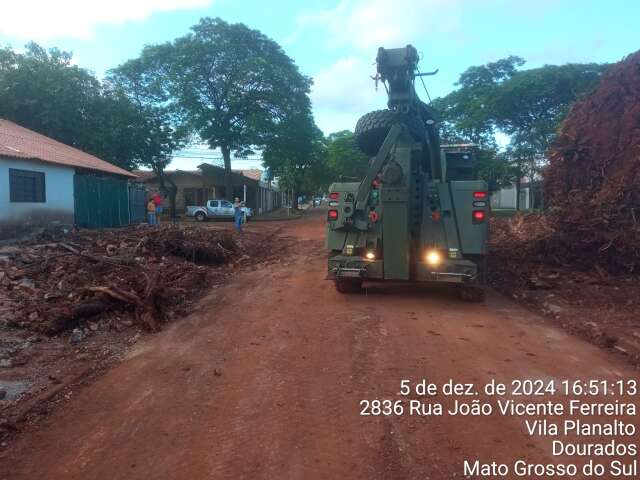 Rua bloqueada por queda de seringueira &quot;condenada&quot; &eacute; liberada