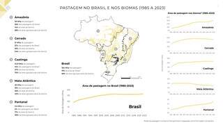 Mapa mostra a distribuição e a expansão ds pastagens pelo Brasil, de 85 a 2023. (Imagem: Mapbiomas)