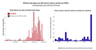 Em MS, volume de carbono emitido por inc&ecirc;ndios florestais &eacute; o maior em 20 anos