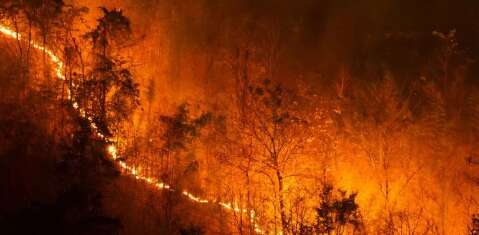 Rede Elétrica causa incêndios em lavouras e pastagens