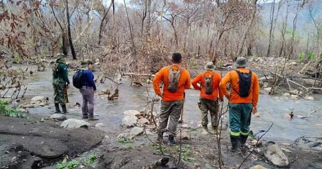 Ap&oacute;s inc&ecirc;ndios florestais, equipes avaliam &aacute;reas atingidas para recupera&ccedil;&atilde;o 