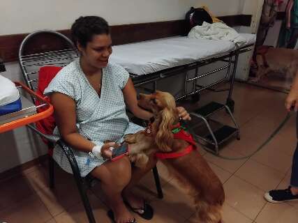 Com direito a caminhão elétrico, cães terapeutas levam a magia do Natal ao HU