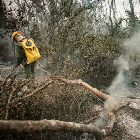 Sem novos inc&ecirc;ndios, For&ccedil;as Armadas s&atilde;o retiradas do Pantanal