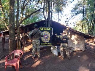 Acampamento improvisado armazenava mais de 6 toneladas de maconha. (Foto: Reprodução/ABC Color)