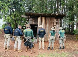 Agentes do Ibama e da PRF durante fiscalização (Foto: Divulgação)