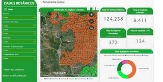 Campo Grande News - Conteúdo de Verdade