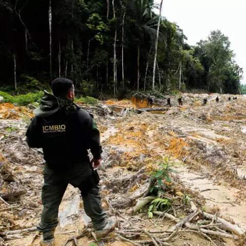 Embrapa e ICMbio abrem inscri&ccedil;&atilde;o em concurso com sal&aacute;rio de at&eacute; R$ 12 mil 