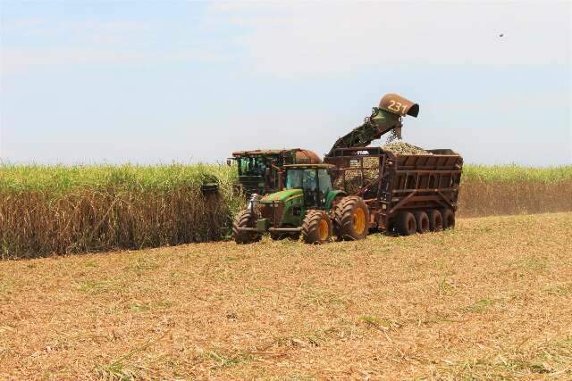 Produtividade da cana tem queda de 19% em novembro no Centro-Sul