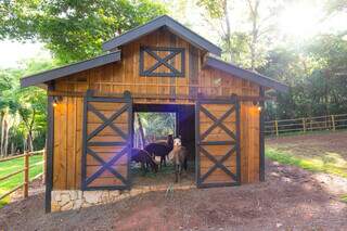 Amigos compartilham lugar de paz com cabana, natureza e alpacas