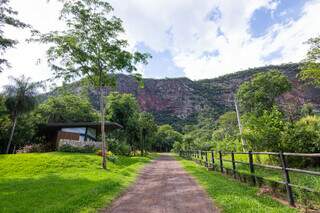 Amigos compartilham lugar de paz com cabana, natureza e alpacas