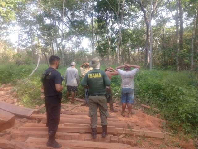 Ind&iacute;genas s&atilde;o flagrados em explora&ccedil;&atilde;o ilegal de madeira em terra Kadiw&eacute;u