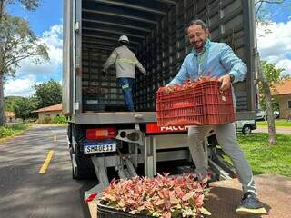 Mudas de eucalipto serão usadas para fortalecer flora já existente no local (Foto: Jéssica Fernandes)