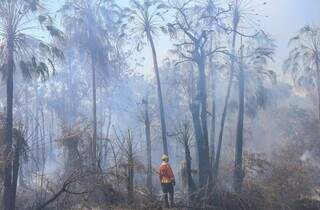 Bombeiro em área de combate a incêndios no Pantanal. (Foto: Álvaro Rezende)