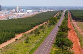 Trecho da Rota da Celulose, na BR-262, em Ribas do Rio Pardo (Foto/Divulgação)