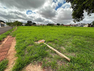 Área verde próxima a Avenida dos Cafezais, em Campo Grande. (Foto: Arquivo/Marcos Maluf)