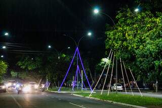 Canteiro da avenida foi decorado com luzes pelos moradores. (Foto: Juliano Almeida)