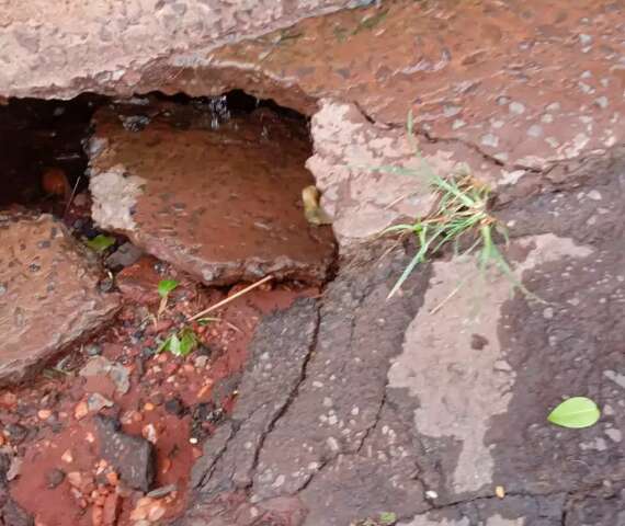 Vazamento causa eros&atilde;o embaixo de cal&ccedil;ada e moradora teme desabamento de muro