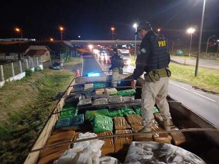 Carregamento com 11 toneladas de maconha que saiu de MS é apreendido em SP