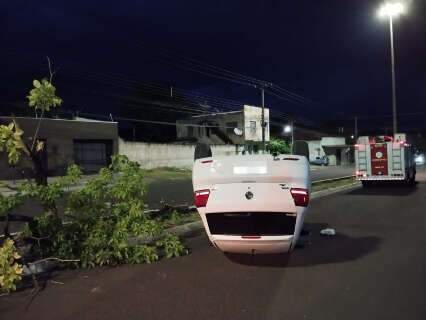 Carro arranca árvore, capota e motorista foge 