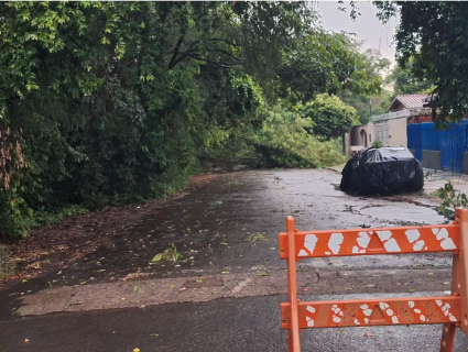 Temporal em Bonito causa queda de árvores e fecha balneário