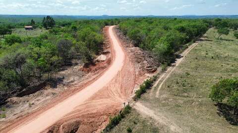 Homem morre após ataque de abelhas em fazenda de Camapuã